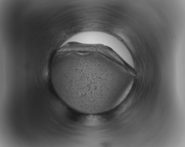X0000089700261200707201746