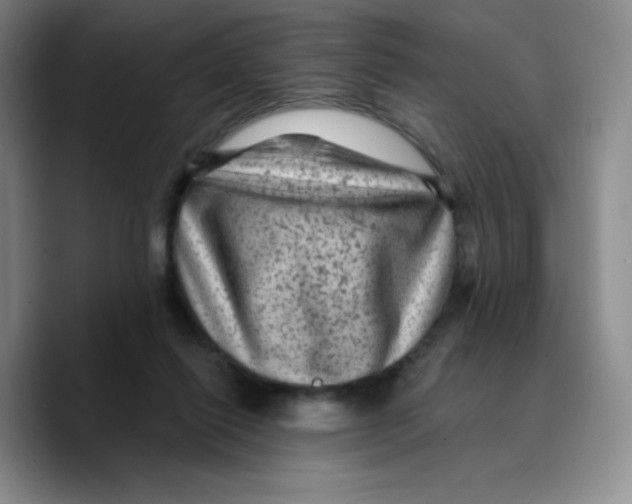X0000089700262200707201746