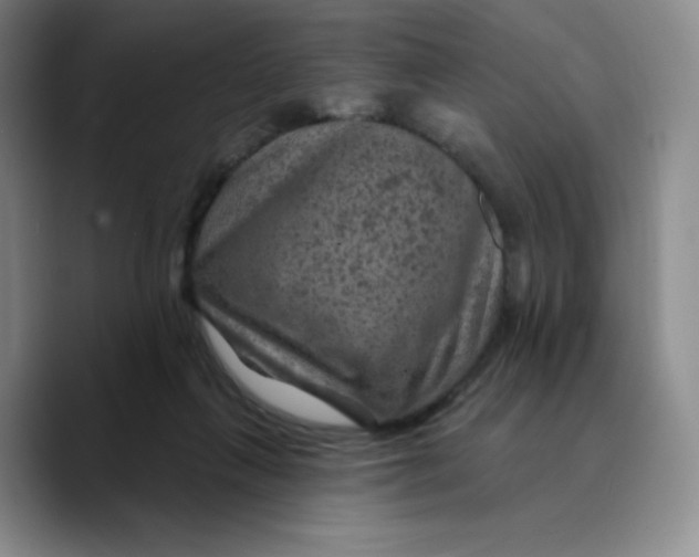 X0000089700263200707201746
