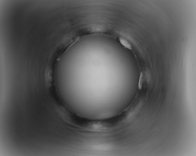 X0000089700264200707201746