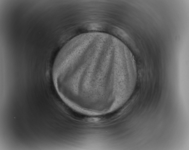 X0000089700265200707201746