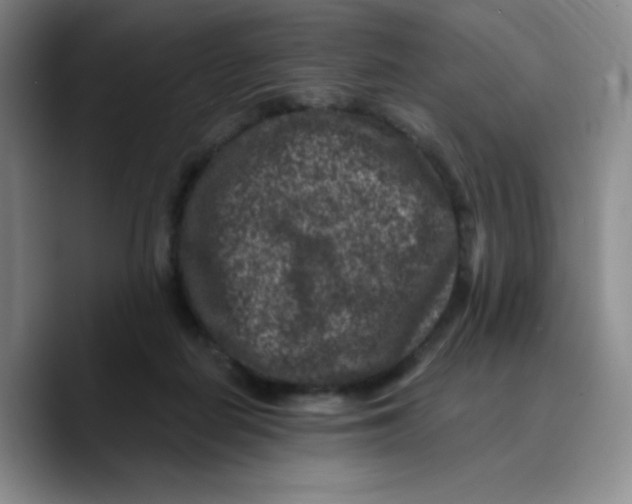 X0000089700266200707201746