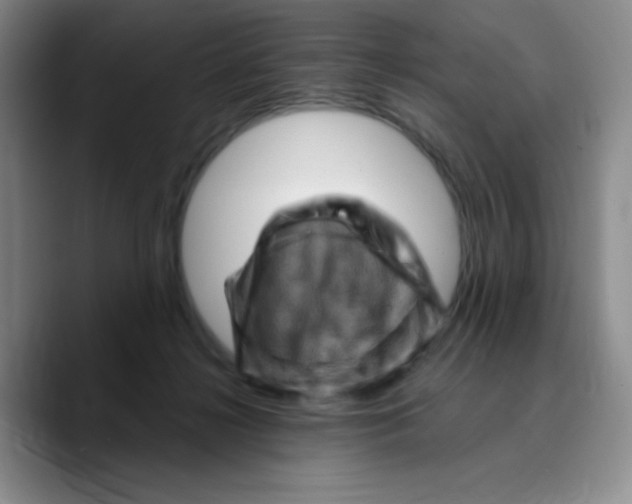 X0000089700268200707201746