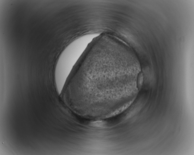 X0000089700269200707201746