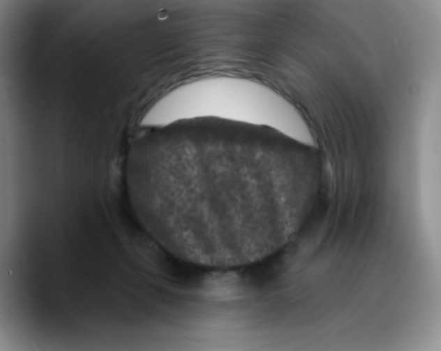 X0000089700271200707201746