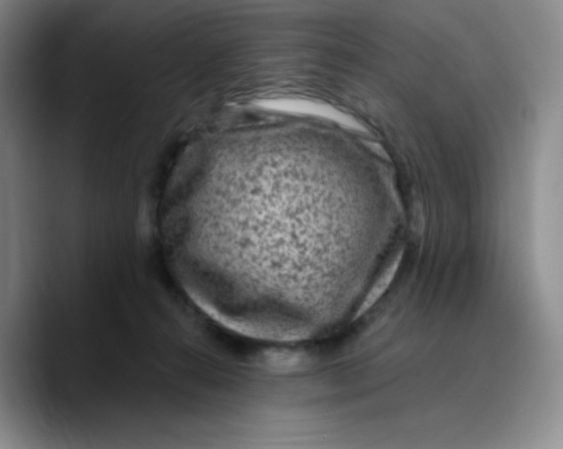 X0000089700272200707201746