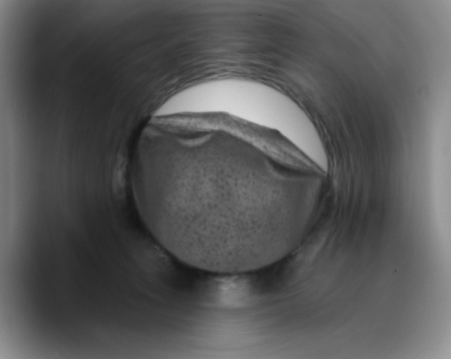 X0000089700275200707201746