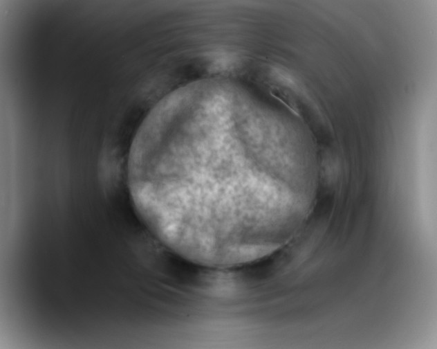 X0000089700276200707201746