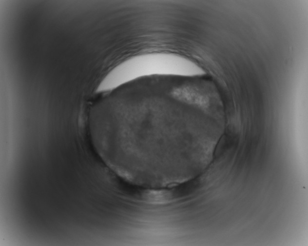 X0000089700277200707201746