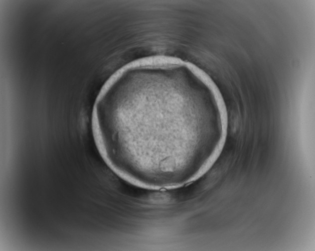 X0000089700279200707201746