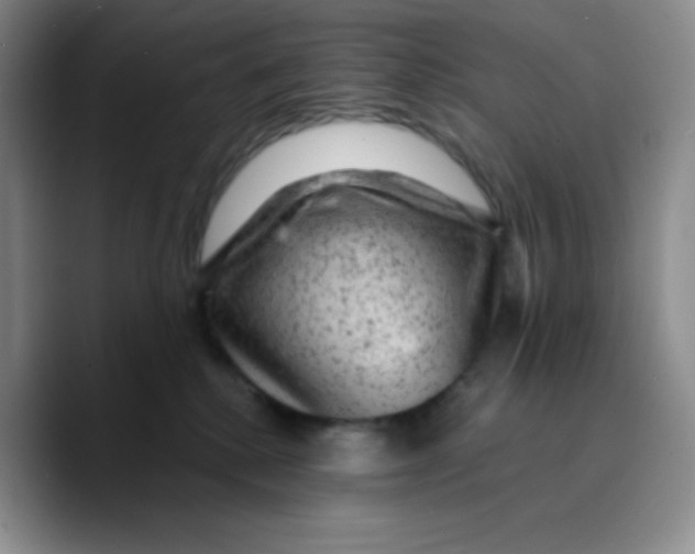 X0000089700280200707201746