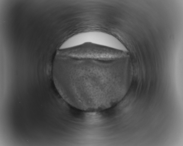 X0000089700281200707201746