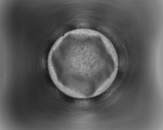 X0000089700282200707201746