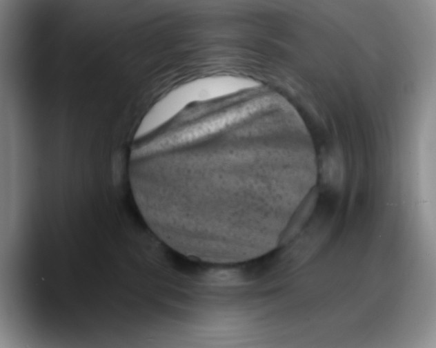 X0000089700283200707201746
