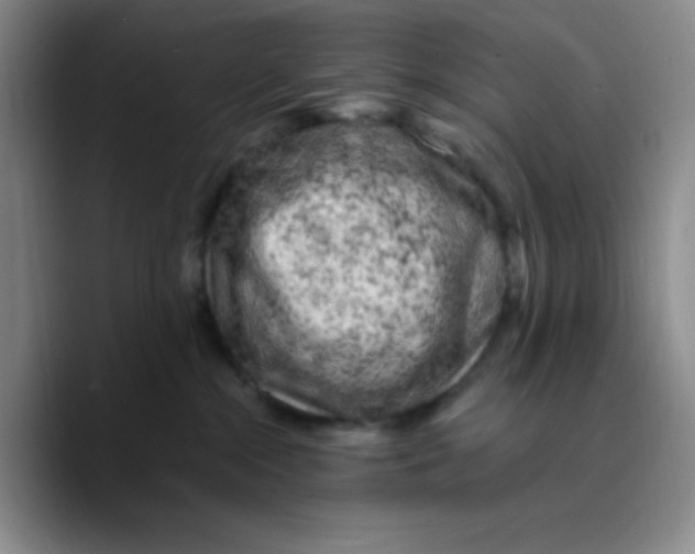 X0000089700284200707201746