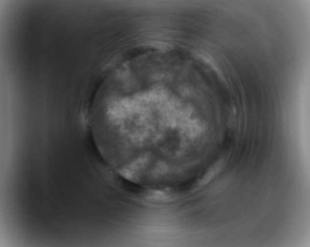 X0000089700285200707201746