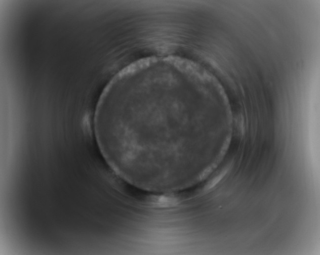 X0000089700286200707201746