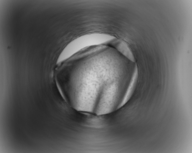 X0000089700288200707201746