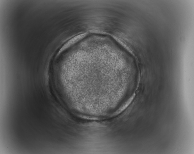 X0000089700290200707201746