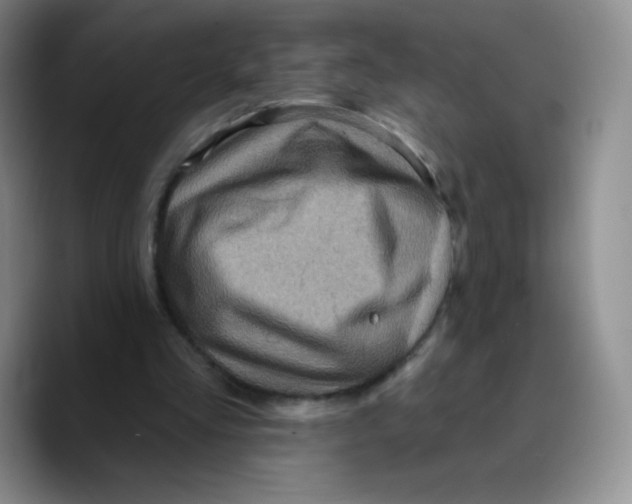 X0000089700293200707201746