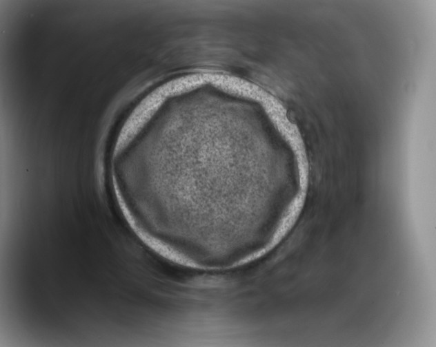 X0000089700294200707201746