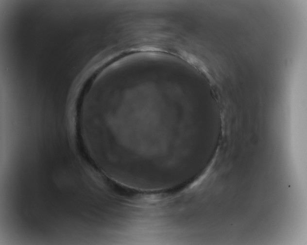 X0000089700295200707201746