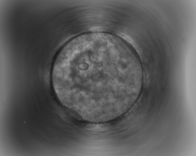 X0000089700297200707201746