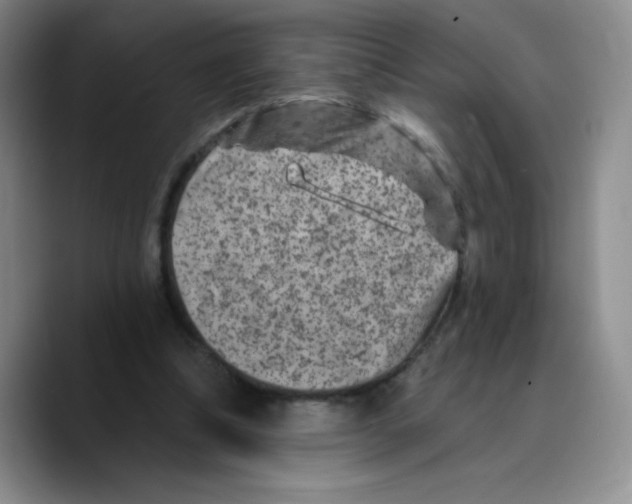 X0000089700298200707201746