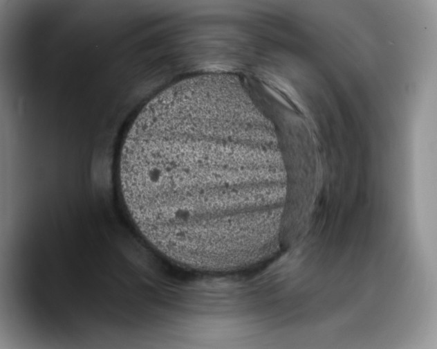 X0000089700299200707201746