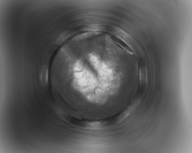 X0000089700301200707201746