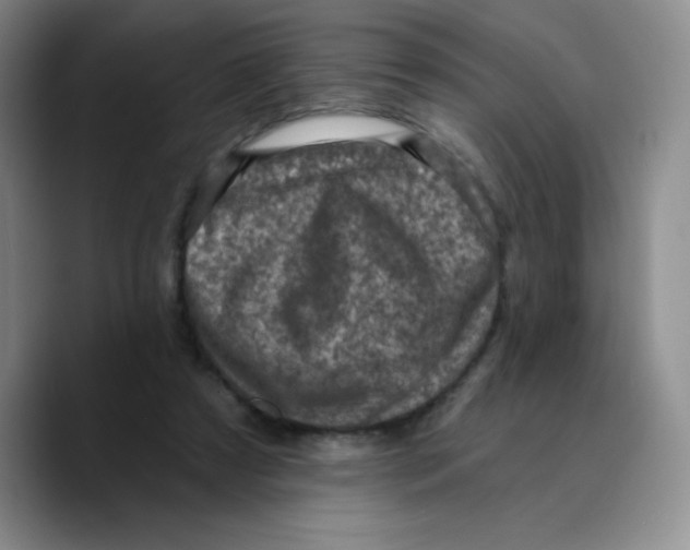 X0000089700305200707201746