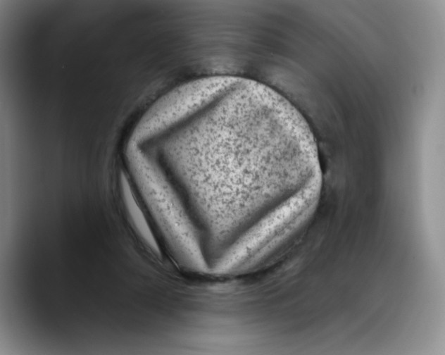 X0000089700306200707201746