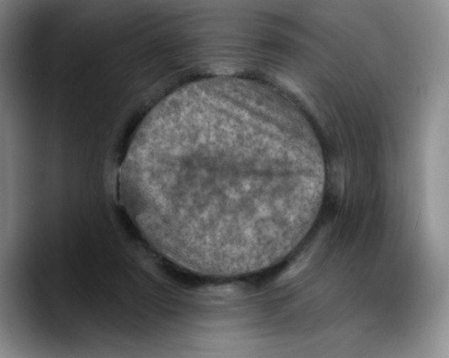 X0000089700307200707201746