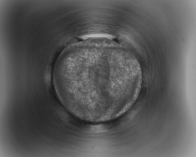 X0000089700309200707201746