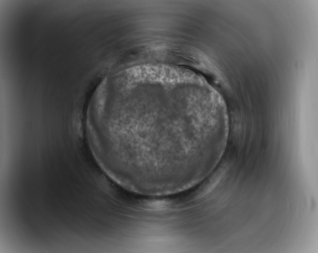 X0000089700313200707201746
