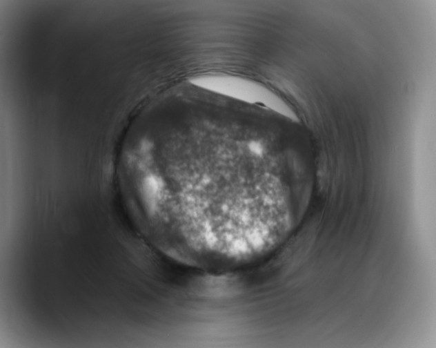 X0000089700314200707201746