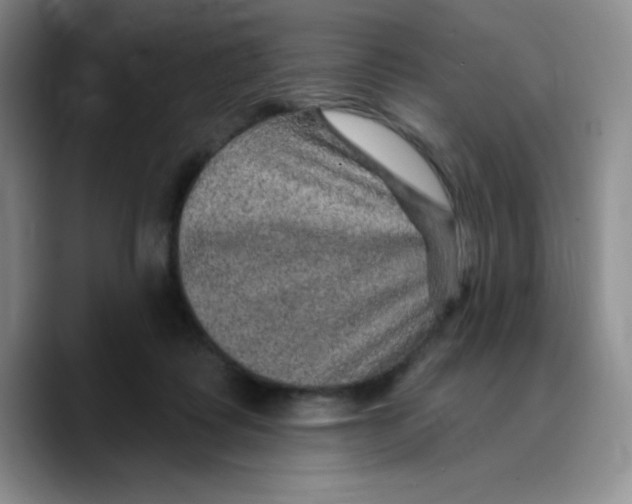 X0000089700315200707201745