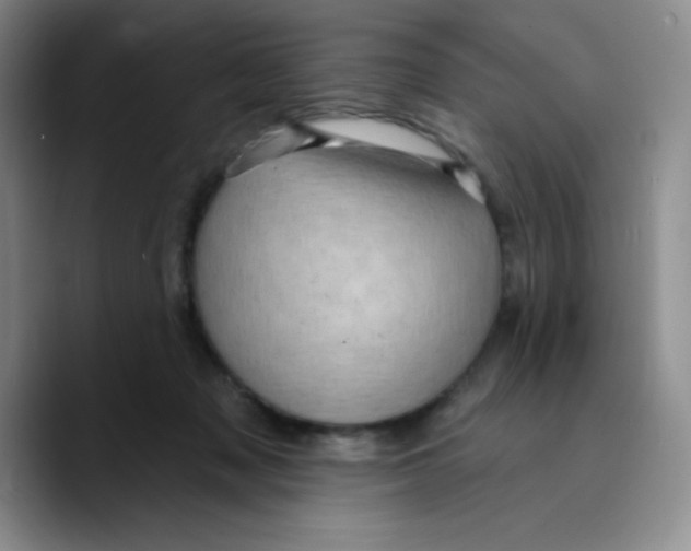 X0000089700317200707201745