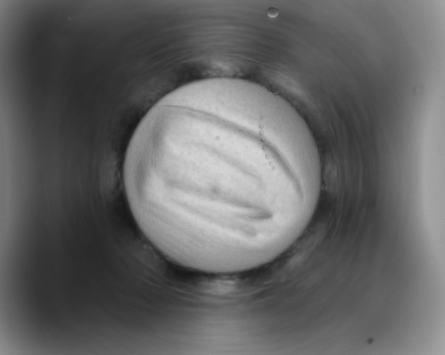 X0000089700318200707201745