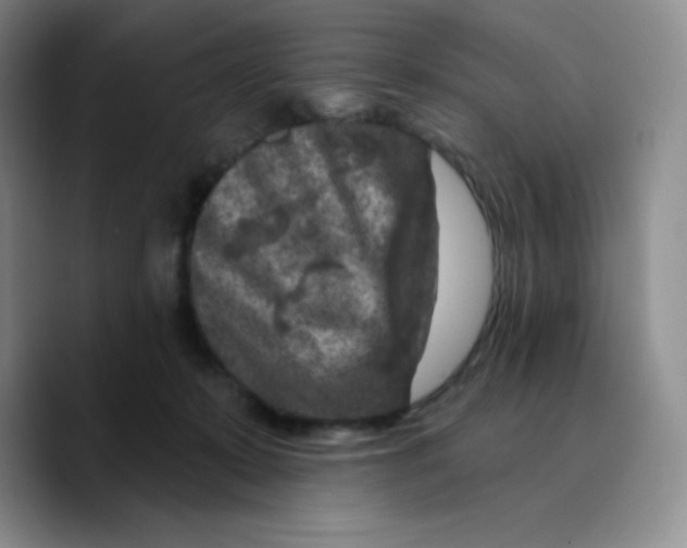 X0000089700319200707201745