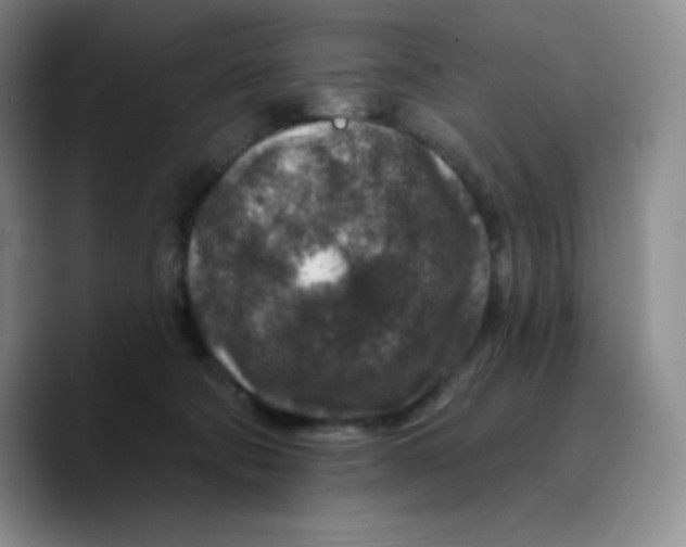 X0000089700322200707201745