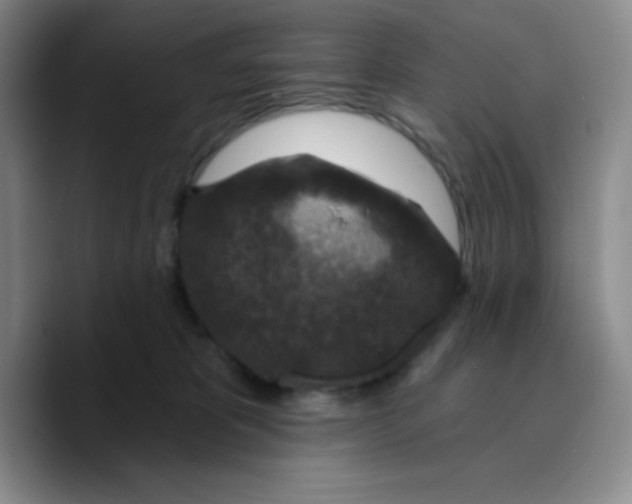 X0000089700325200707201745