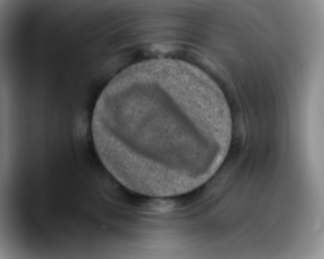 X0000089700328200707201745