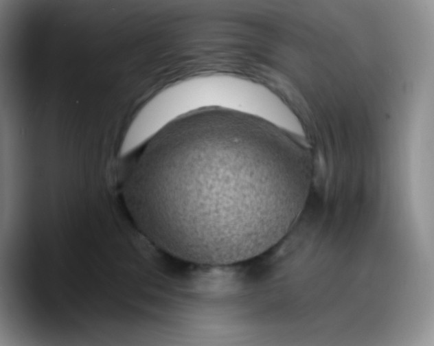 X0000089700329200707201745