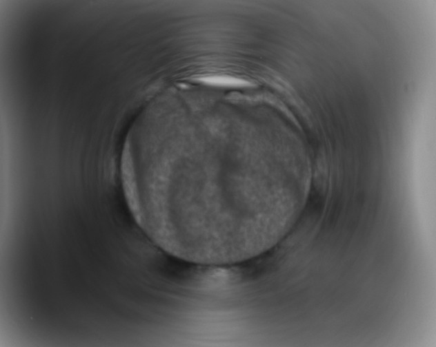 X0000089700330200707201745