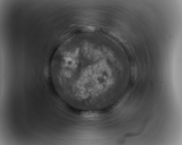 X0000089700331200707201745