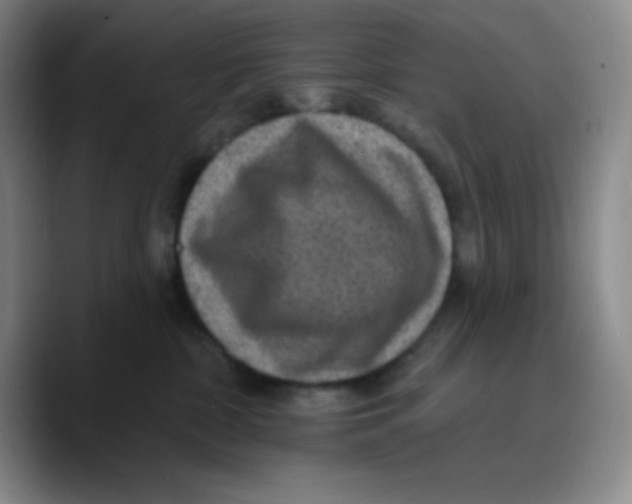 X0000089700332200707201745