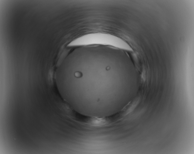 X0000089700333200707201745