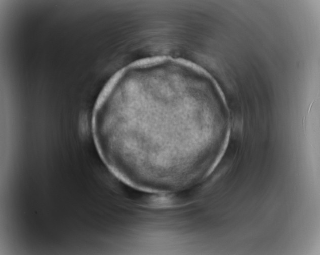 X0000089700335200707201745