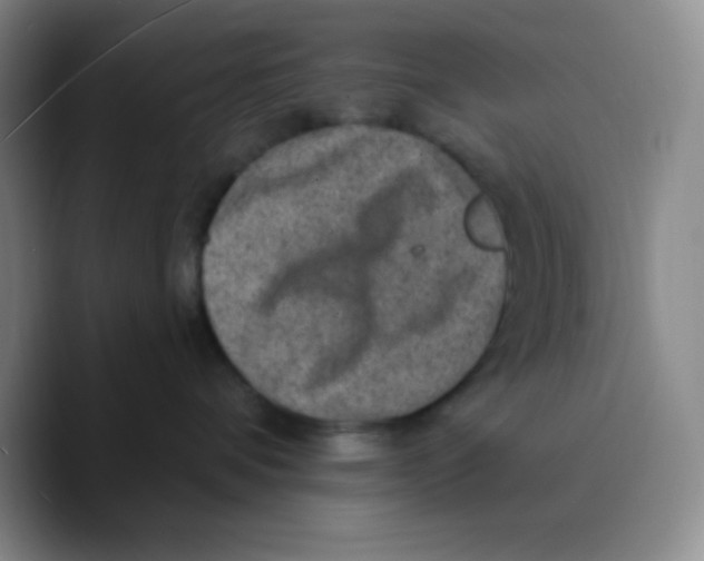 X0000089700336200707201745